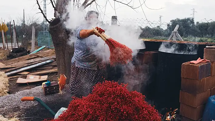 En güzel kokulu festival Şubat'ta