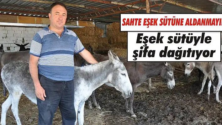 Eşek sütüyle şifa dağıtıyor