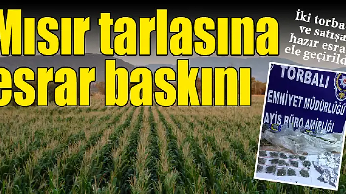 Esrarı yoğurt kabına sakladılar!