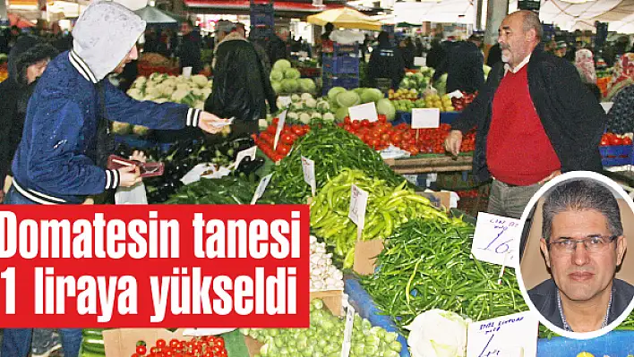 Etiketler ateş pahası