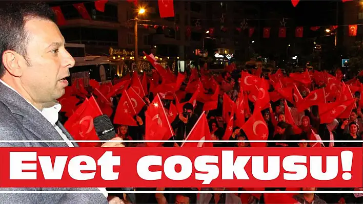 Evet coşkusu