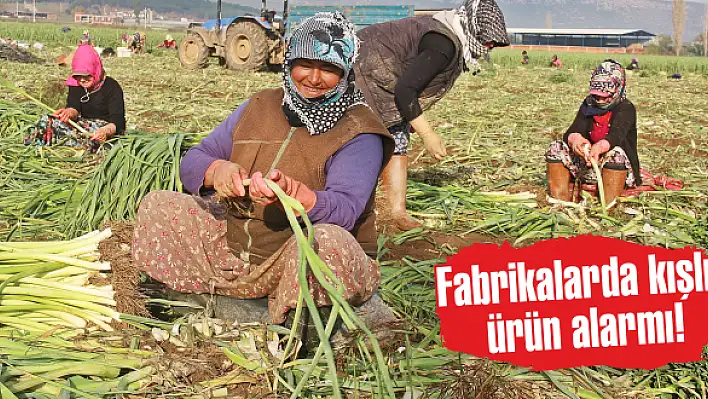 Fabrikalarda kışlık ürün alarmı!