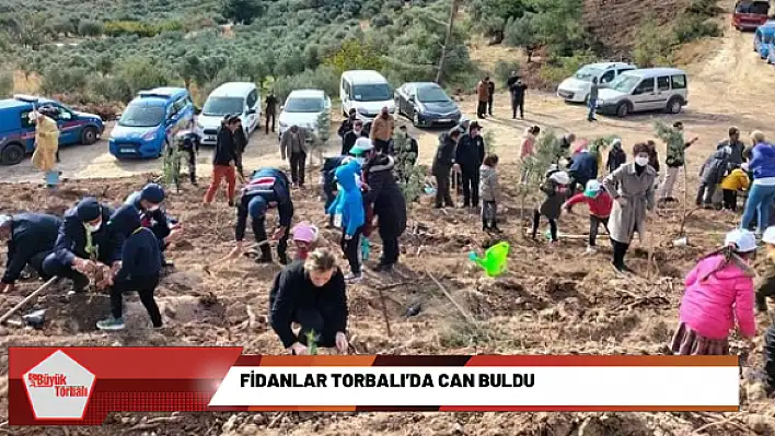 Fidanlar Torbalı'da can bulacak