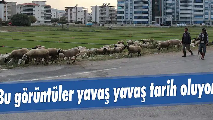 Bu görüntüler yavaş yavaş tarih oluyor