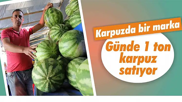 Günde 1 ton karpuz satıyor