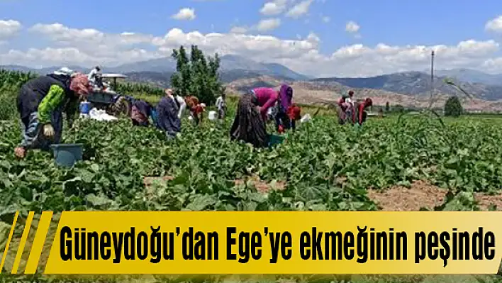 Güneydoğu'dan Ege'ye ekmeğinin peşinde