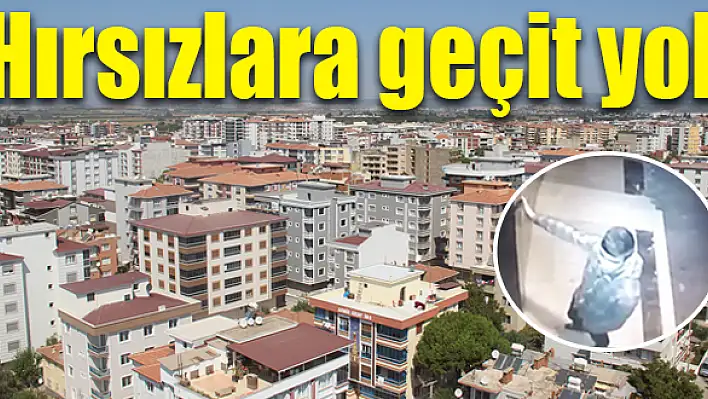 Güvenlik kamerasına yakalandılar