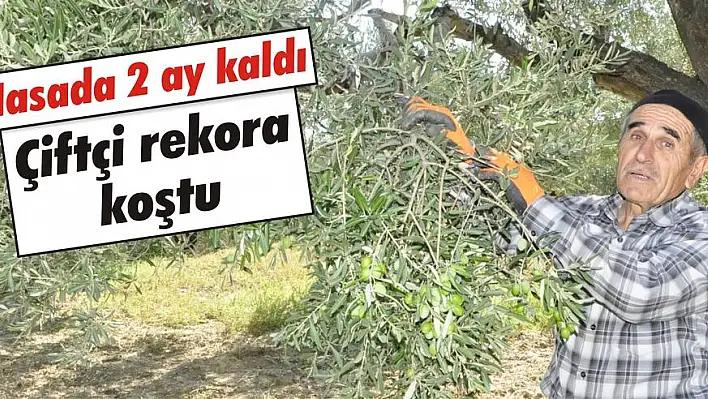 Hasada 2 ay kaldı çiftçi rekora koştu