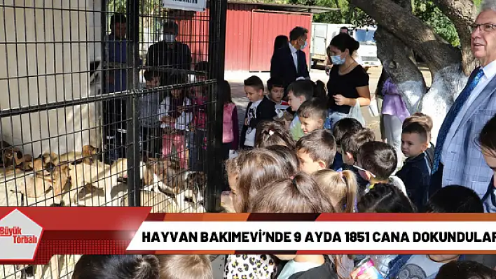 Hayvan Bakımevi'nde 9 ayda 1851 cana dokundular