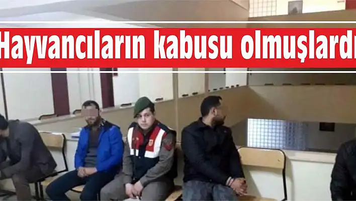 Hayvancıların kabusu olmuşlardı