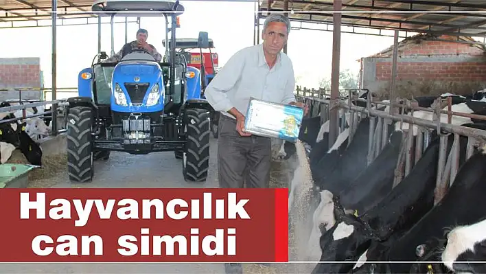 Hayvancılık can simidi