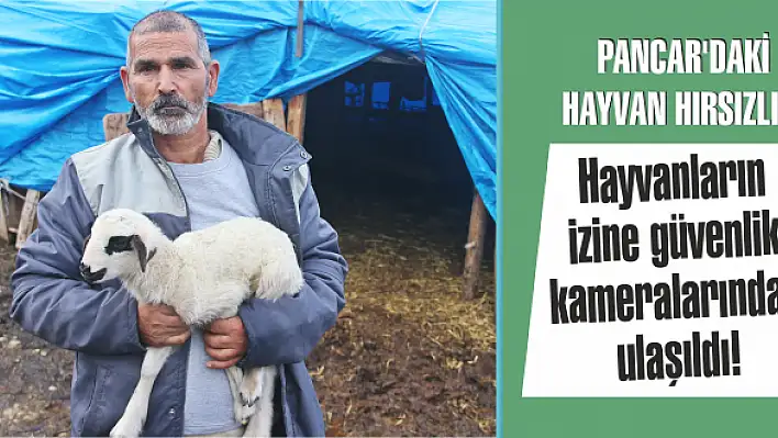 Hayvanların izine güvenlik kameralarından ulaşıldı!