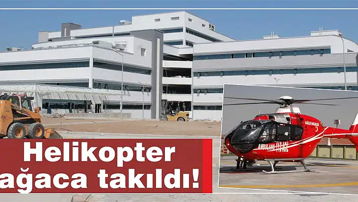 Helikopter ağaca takıldı!