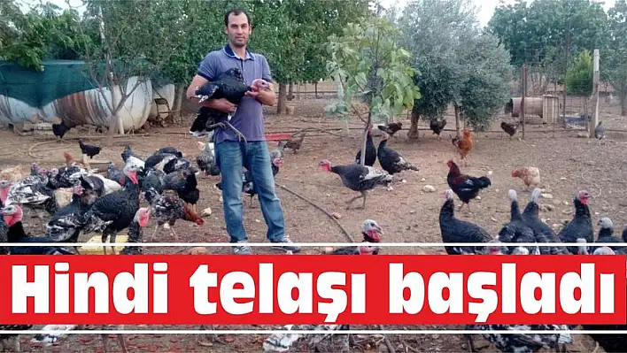 Hindi telaşı başladı