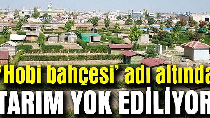 'Hobi bahçesi' adı altında tarım yok ediliyor