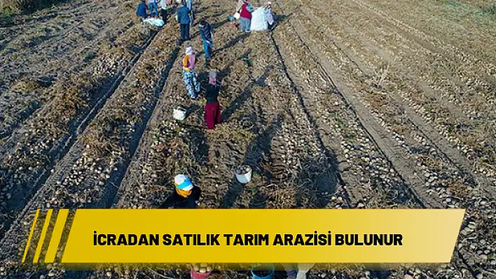 İcradan satılık tarım arazisi bulunur