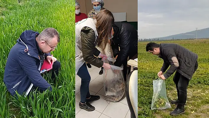 İlçe Tarım, kontrol ve denetim çalışmalarına devam ediyor