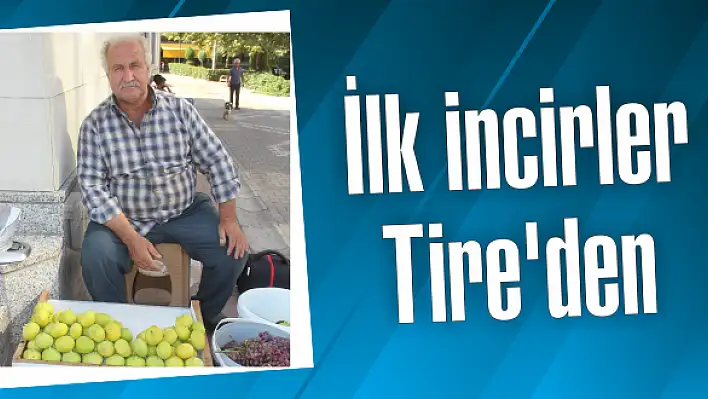 İncire yoğun talep