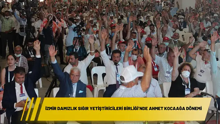 İzmir Damızlık Sığır Yetiştiricileri Birliği'nde Ahmet Kocaağa dönemi