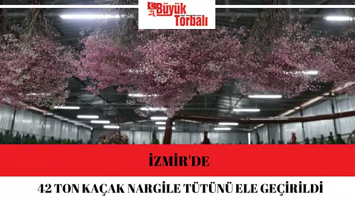 İzmir’de 42 ton kaçak nargile tütünü ele geçirildi