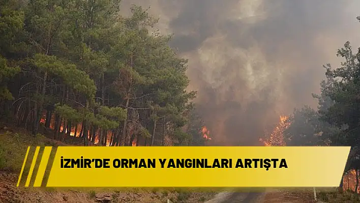 İZMİR'DE ORMAN YANGINLARI ARTIŞTA