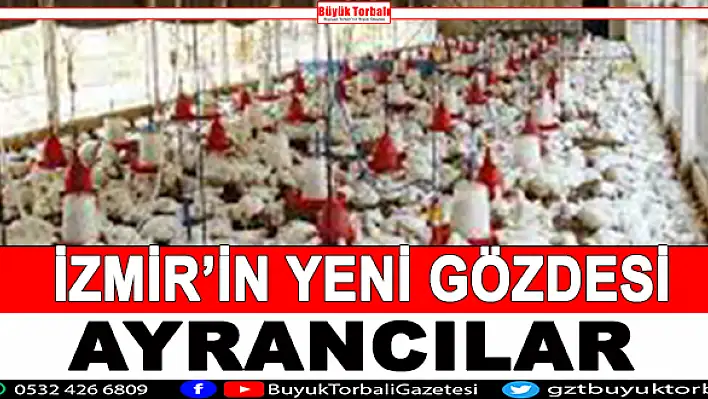 İzmir'in yeni gözdesi Ayrancılar