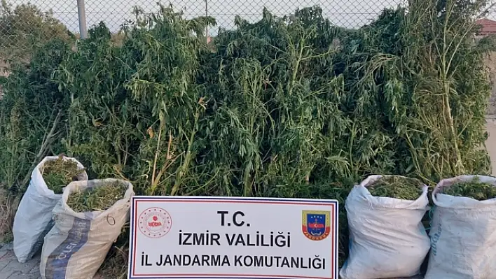 JANDARMADAN DEV UYUŞTURUCU OPERASYONU