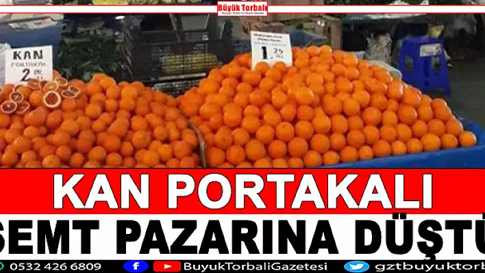 Kan portakalı semt pazarına düştü