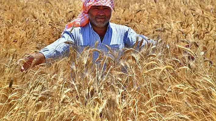 Karakılçık yüzleri güldürdü