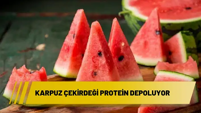 KARPUZ ÇEKİRDEĞİ PROTEİN DEPOLUYOR