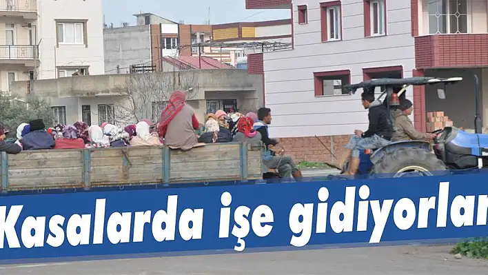 Kasalarda işe gidiyorlar