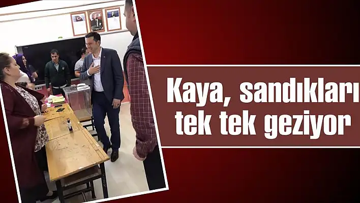 Kaya, sandıkları tek tek geziyor