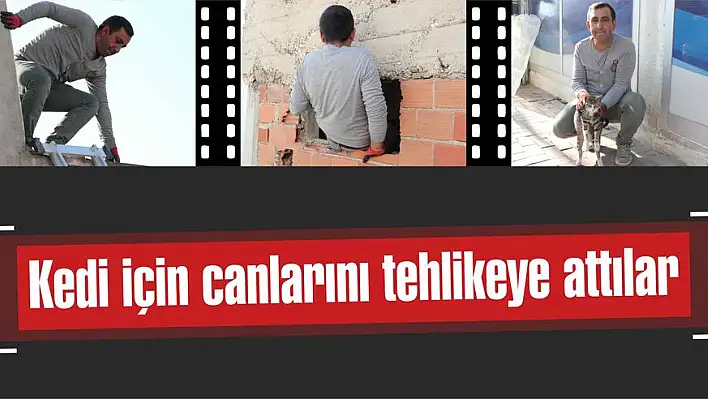 Kedi için canlarını tehlikeye attılar