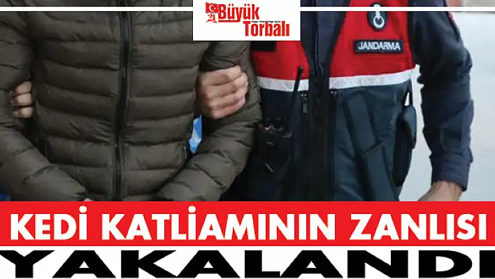 Kedi katliamının zanlısı yakalandı