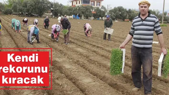 Kendi rekorunu kıracak