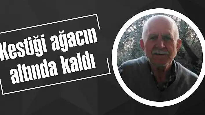 Kestiği ağacın altında kaldı