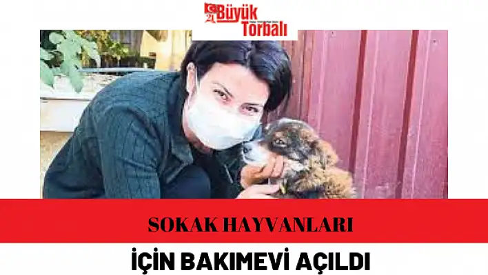 Kiraz'a sokak hayvanları için bakımevi