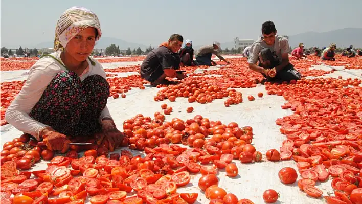 Kırmızı devrim üreticisine 105 milyon lira kazandırdı