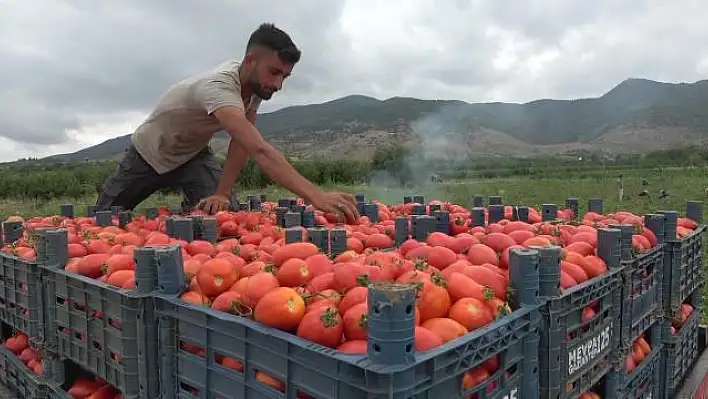 Kırmızı sevkiyat başladı