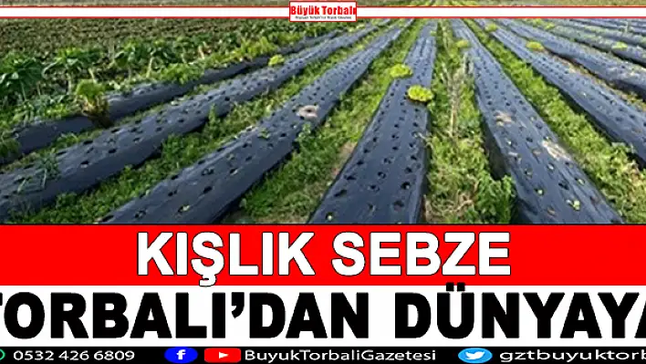 Kışlık sebze Torbalı'dan dünyaya dağılıyor