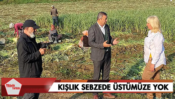 Kışlık sebzede üstümüze yok