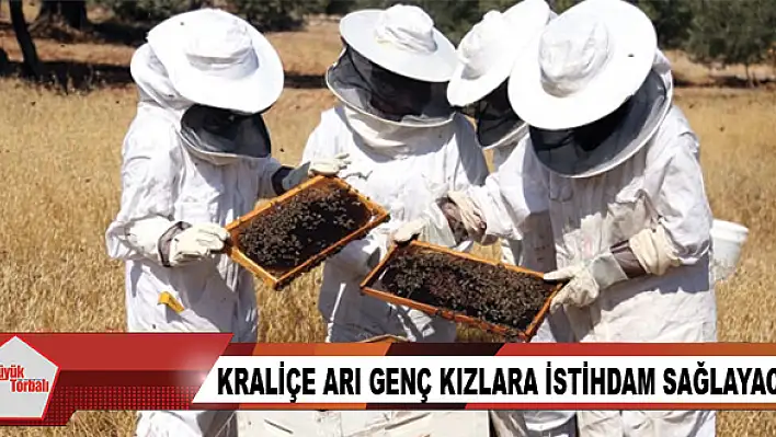 Kraliçe arı genç kızlara istihdam sağlayacak