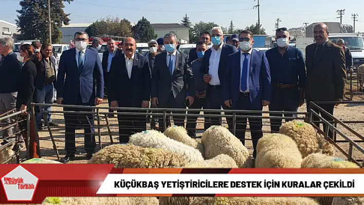 Küçükbaş yetiştiricilere hibe desteği için kuralar çekildi