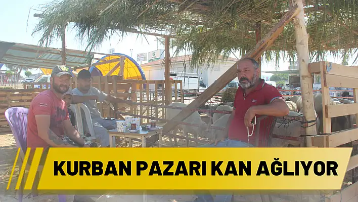 Kurban pazarı kan ağlıyor