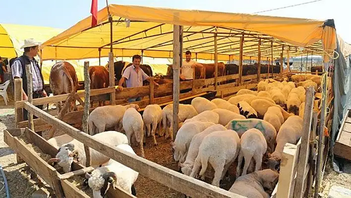 Kurban Pazarı yine kan ağlıyor