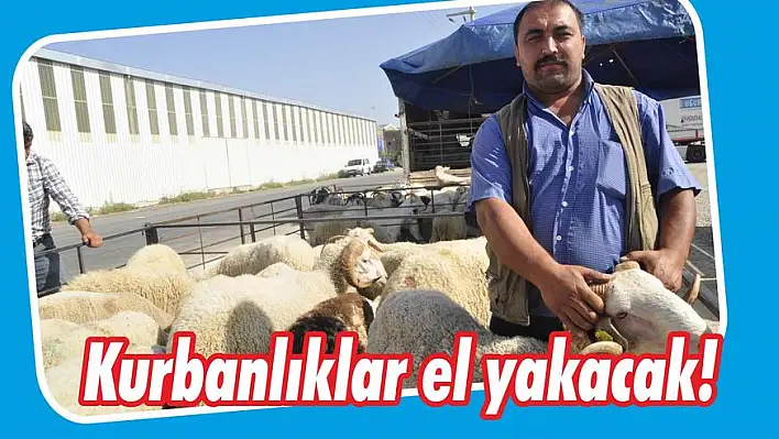 Kurbanlıklar el yakacak