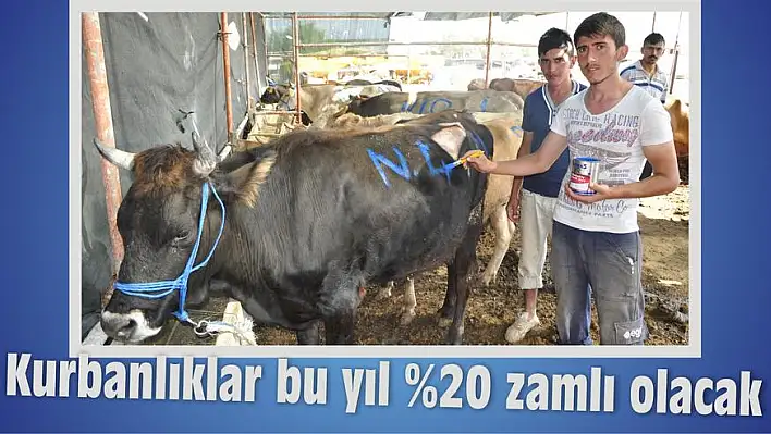 Kurbanlıklar bu yıl %20 zamlı olacak