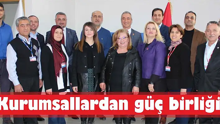 Kurumsallardan güç birliği