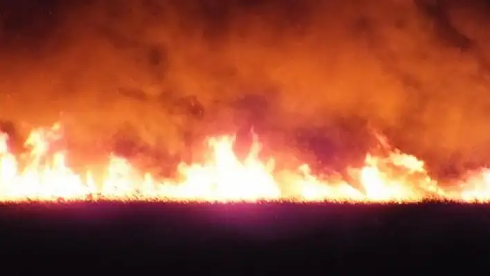 Kuş Cenneti’nde yangın