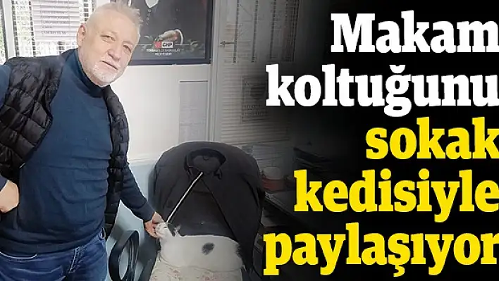 Makam koltuğunu sokak kedisiyle paylaşıyor